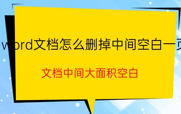 word文档怎么删掉中间空白一页 文档中间大面积空白？